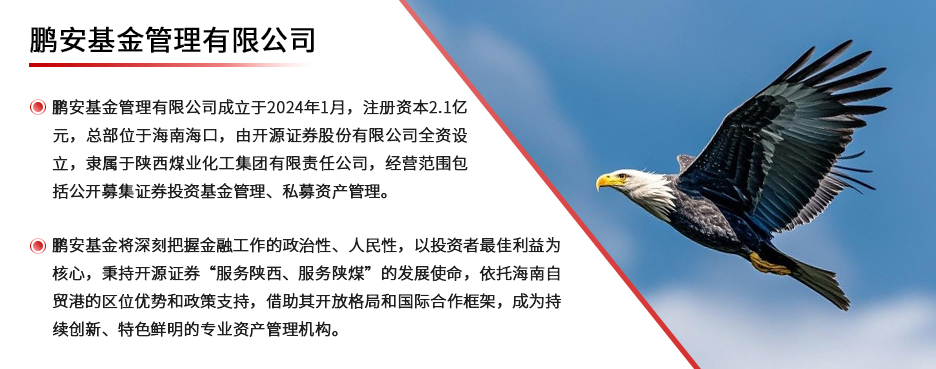 公司简介20250620.jpg